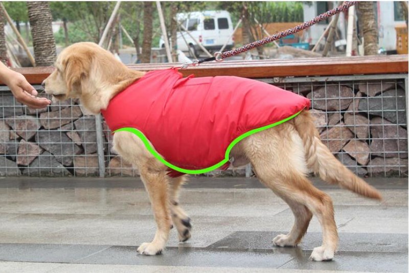 Winter Cotton Pet Coat Warm Comfortable Apparel