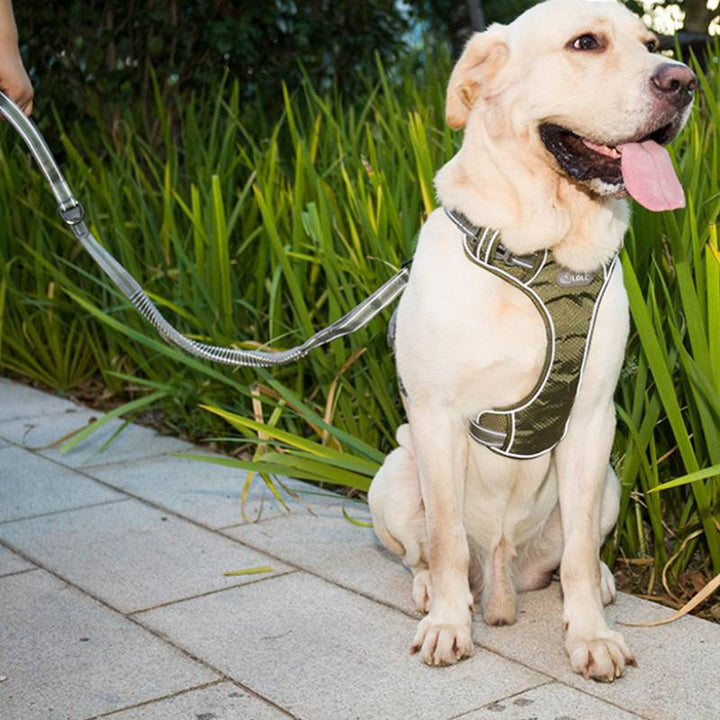 Pet Fluorescent Elastic Retractable Safety Leash Walking Control