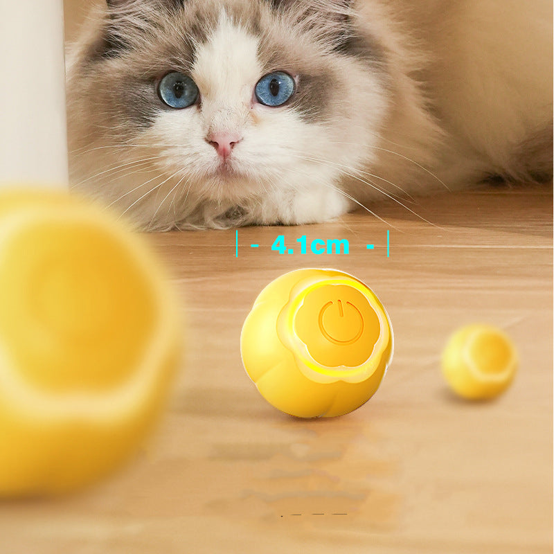 Smart Rolling Pet Ball Bite Resistant Boredom Relief Toy