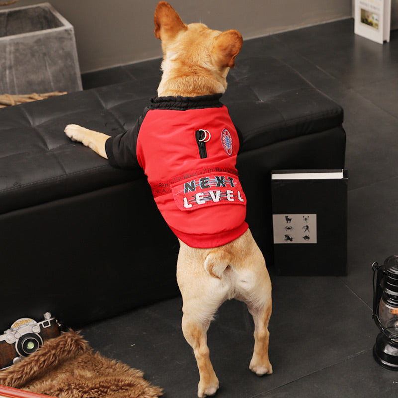 Pet Autumn Winter Clothing Warm Comfortable Wear