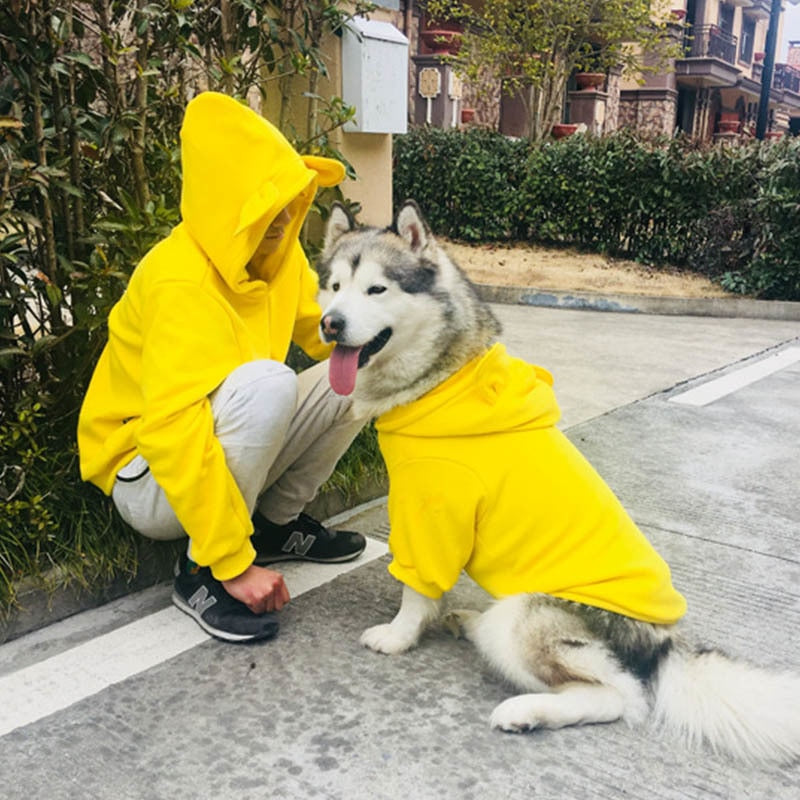 Pet Four Season Sweater Comfortable Everyday Wear