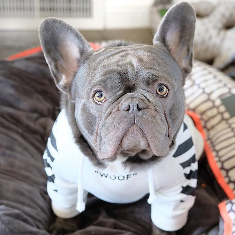 Pet Fashion Striped Sweater Autumn Winter Sports Apparel