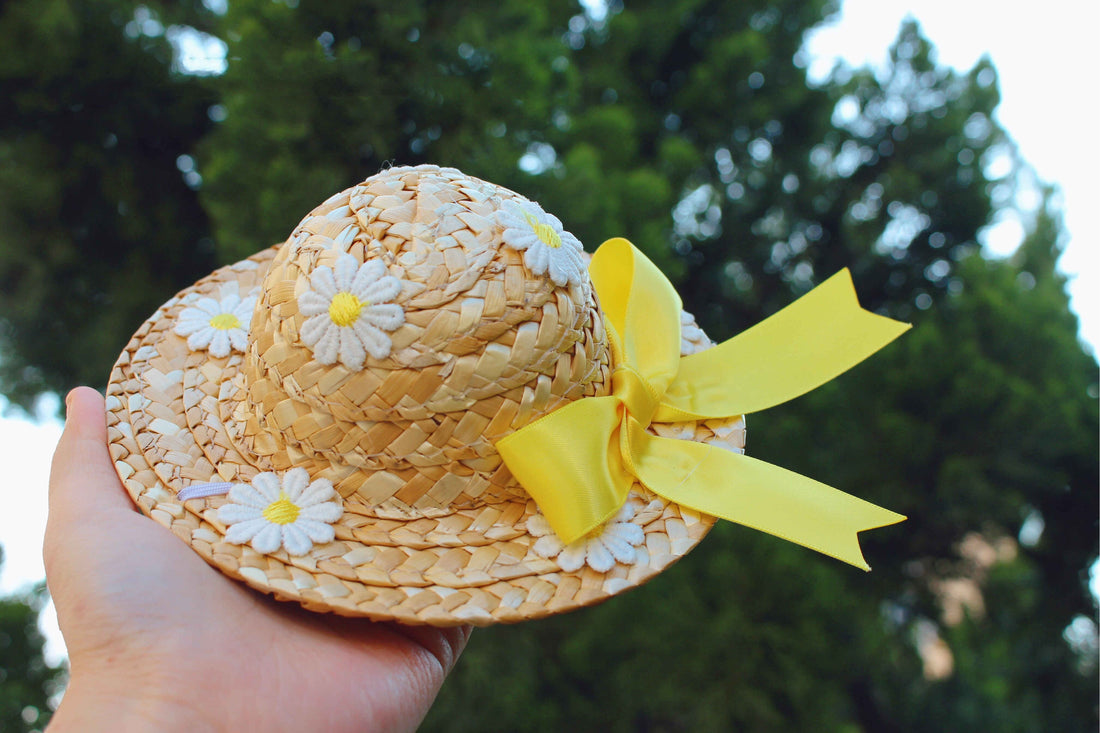 Pet Mesh Embroidery Floral Dress Elegant Summer Wear