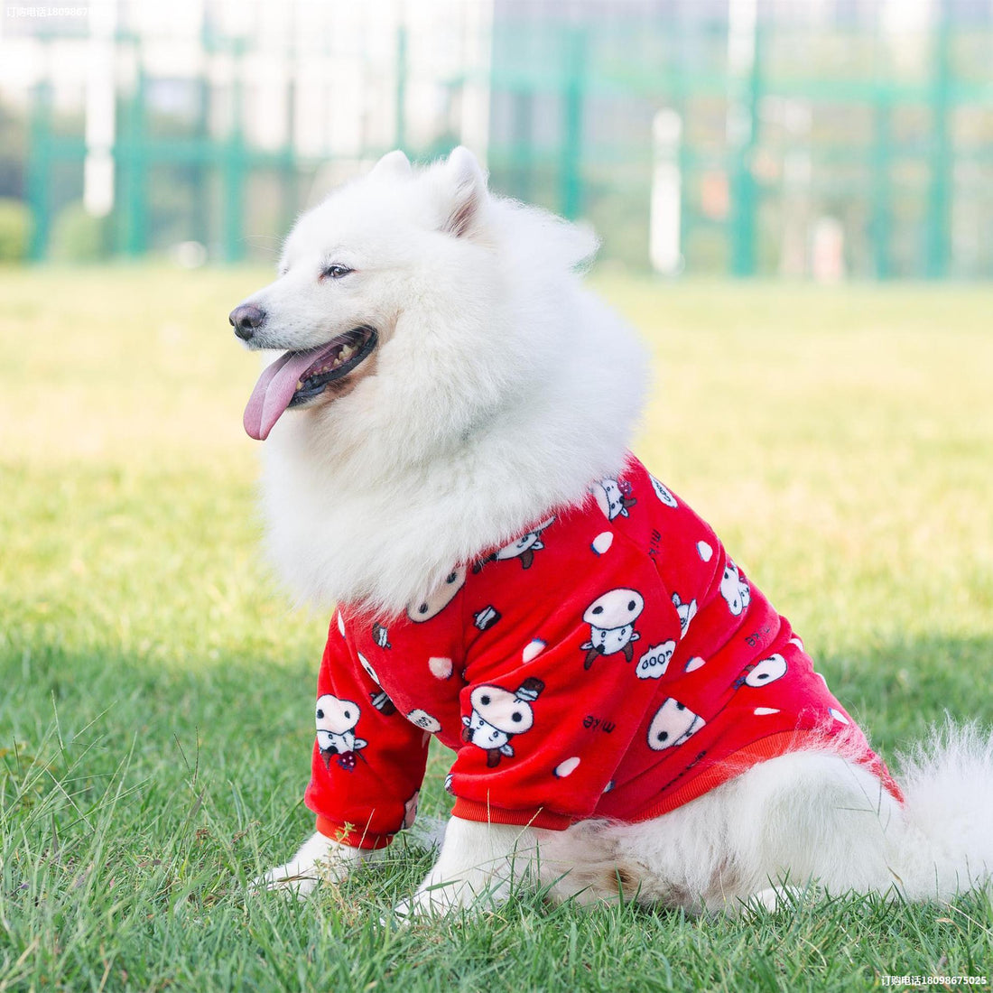 Pet Fashion Transformation Dress Stylish Costume Wear