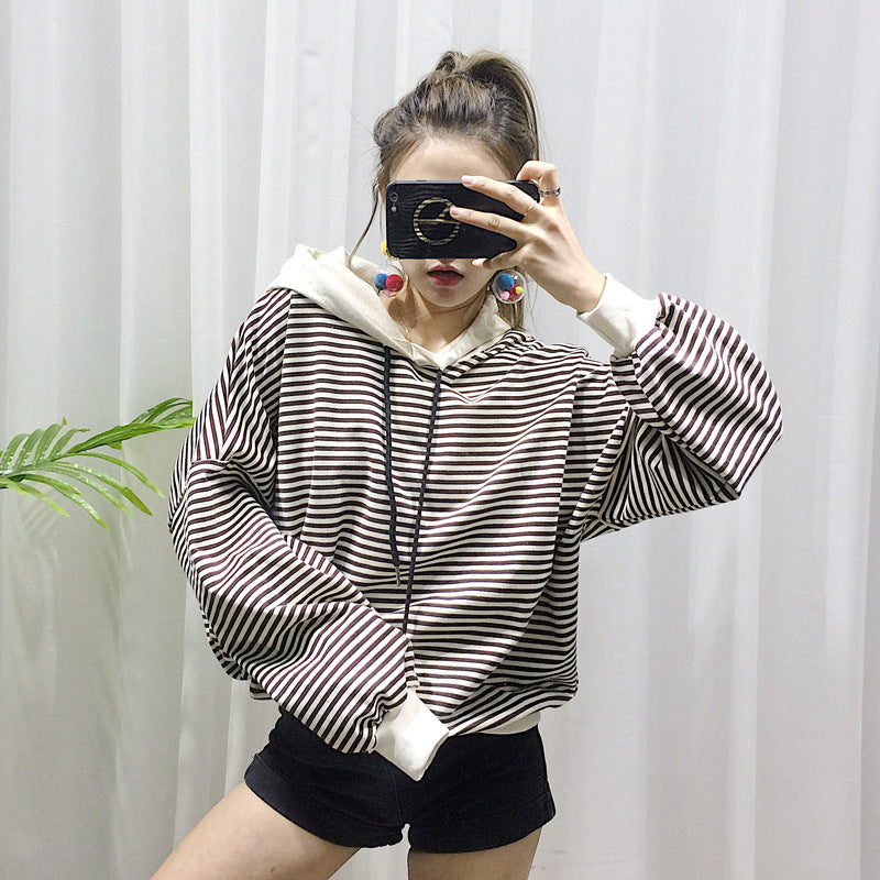 Pet Terry Sweater Fashion Brand Clothing Small Pet Wear