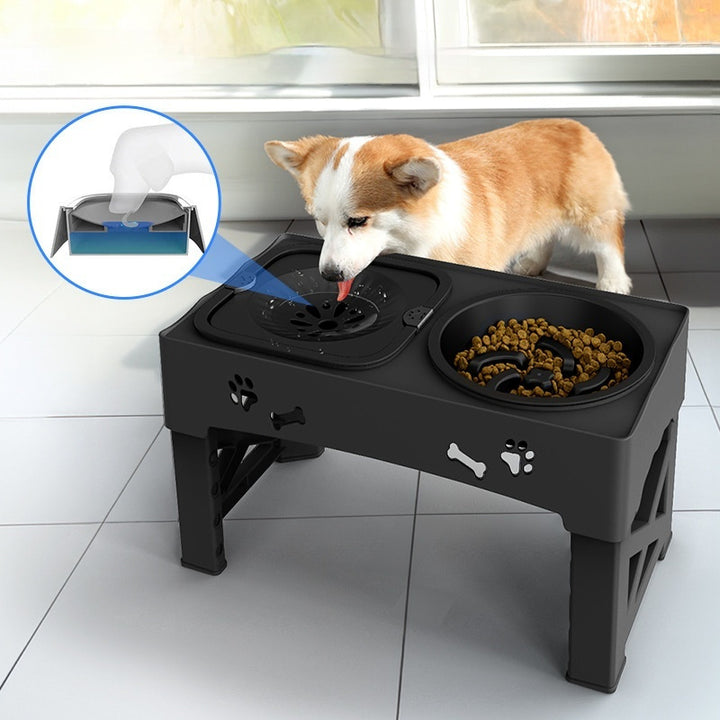 Stainless Steel Double Pet Bowl Elevated Feeder Stand