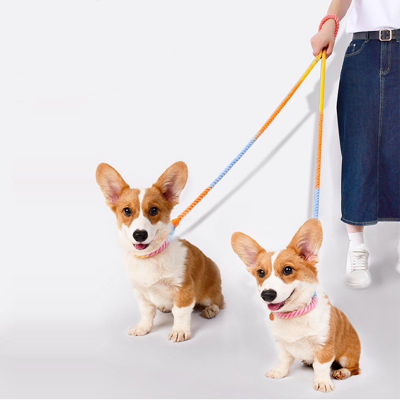 Pet Dual Head Leash Multi Functional Walking Control Lead