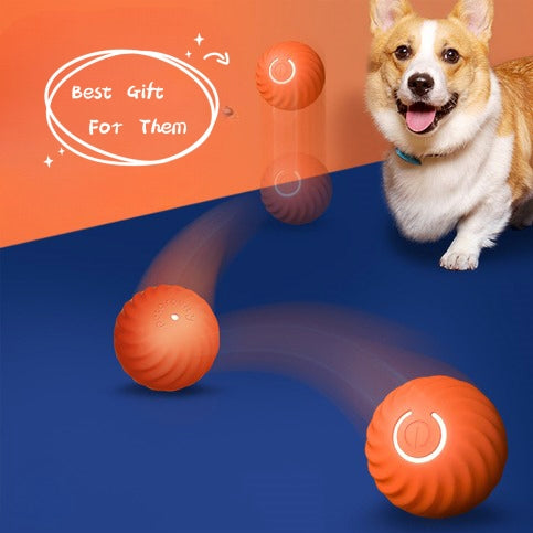 Durable Rubber Pet Ball Bite Resistant Chew Toy Training Ball