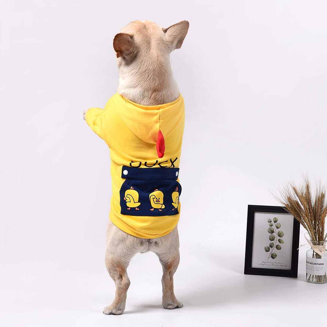 Pet Comfortable Clothing Apparel