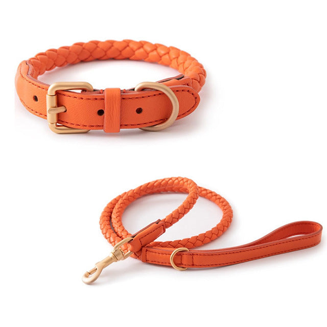 Pet Premium Sturdy Collar Durable Comfortable Wear