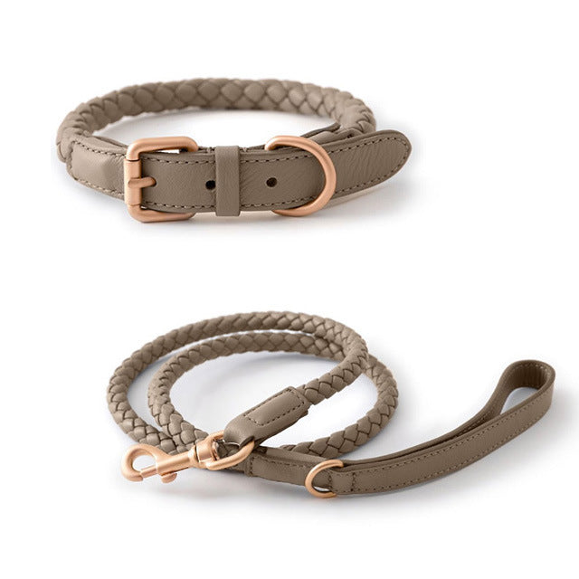 Pet Premium Sturdy Collar Durable Comfortable Wear