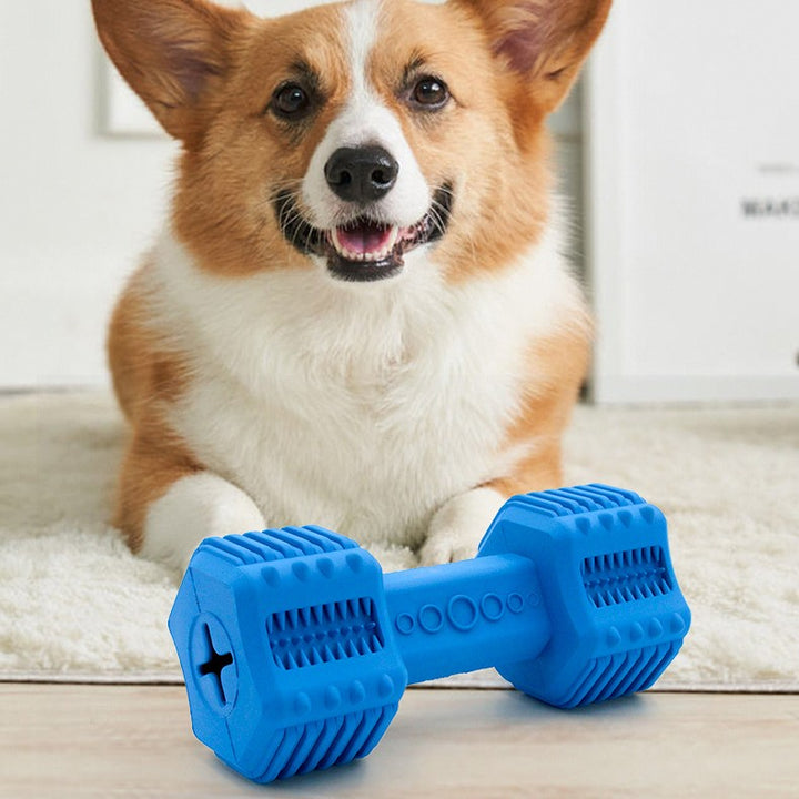 Interactive Rubber Pet Toy Durable Food Leakage Chew Ball