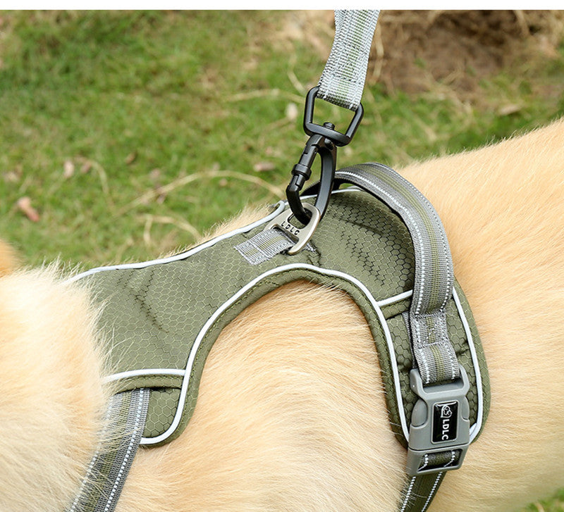 Pet Fluorescent Elastic Retractable Safety Leash Walking Control
