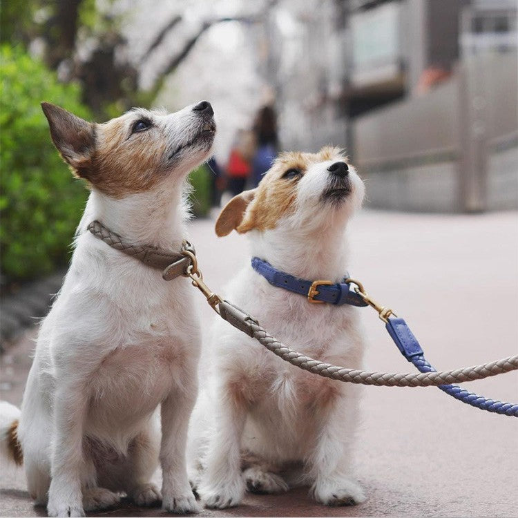 Pet Premium Sturdy Collar Durable Comfortable Wear