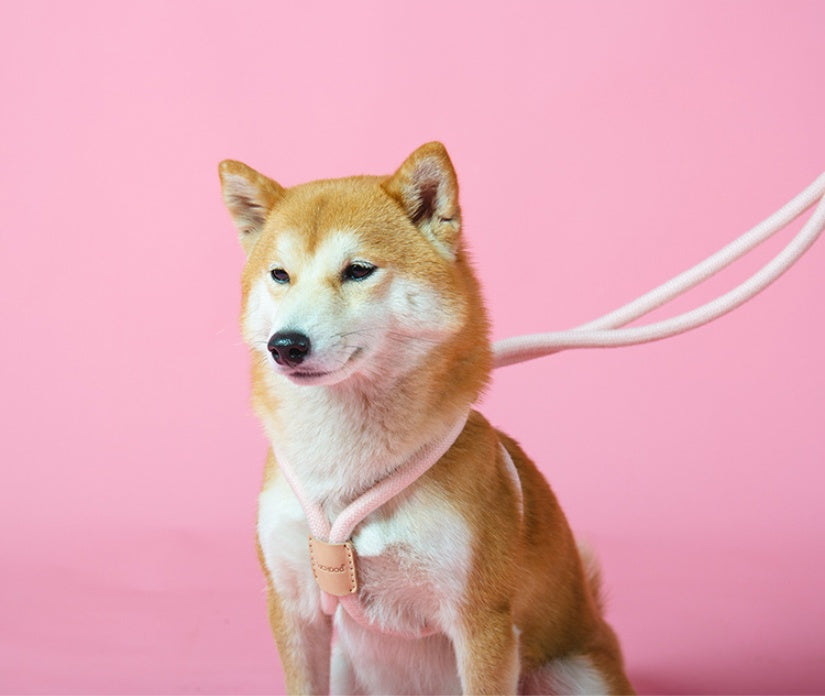 Pet Dual Purpose Round Rope Leash Durable Walking Lead