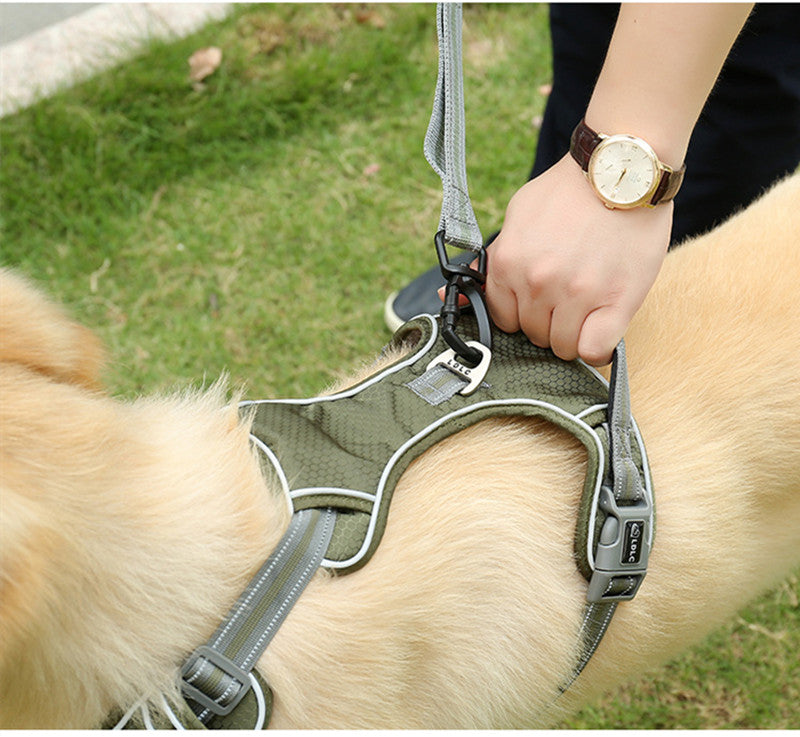 Pet Fluorescent Elastic Retractable Safety Leash Walking Control