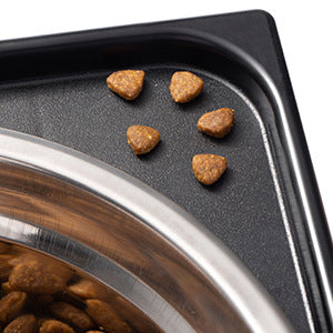 Elevated Anti Tumble Pet Feeding Bowl Neck Protection Stand