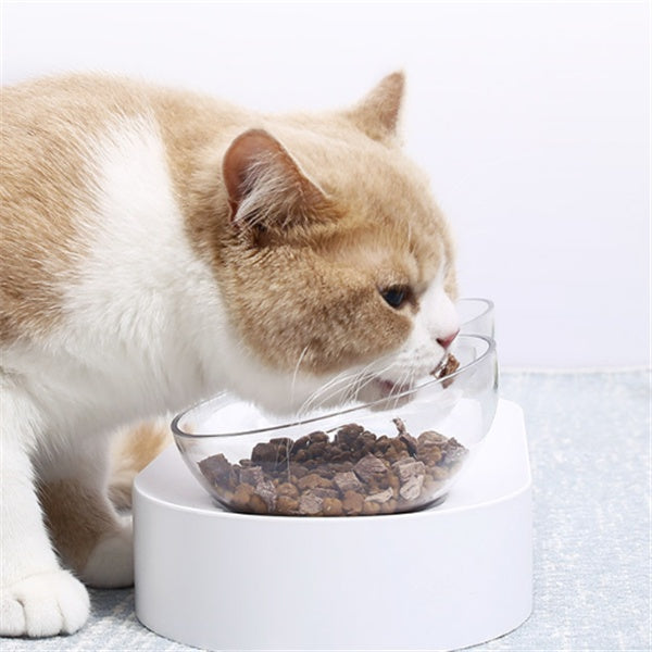 Adjustable Height Pet Feeding Bowl Ergonomic Stand Design