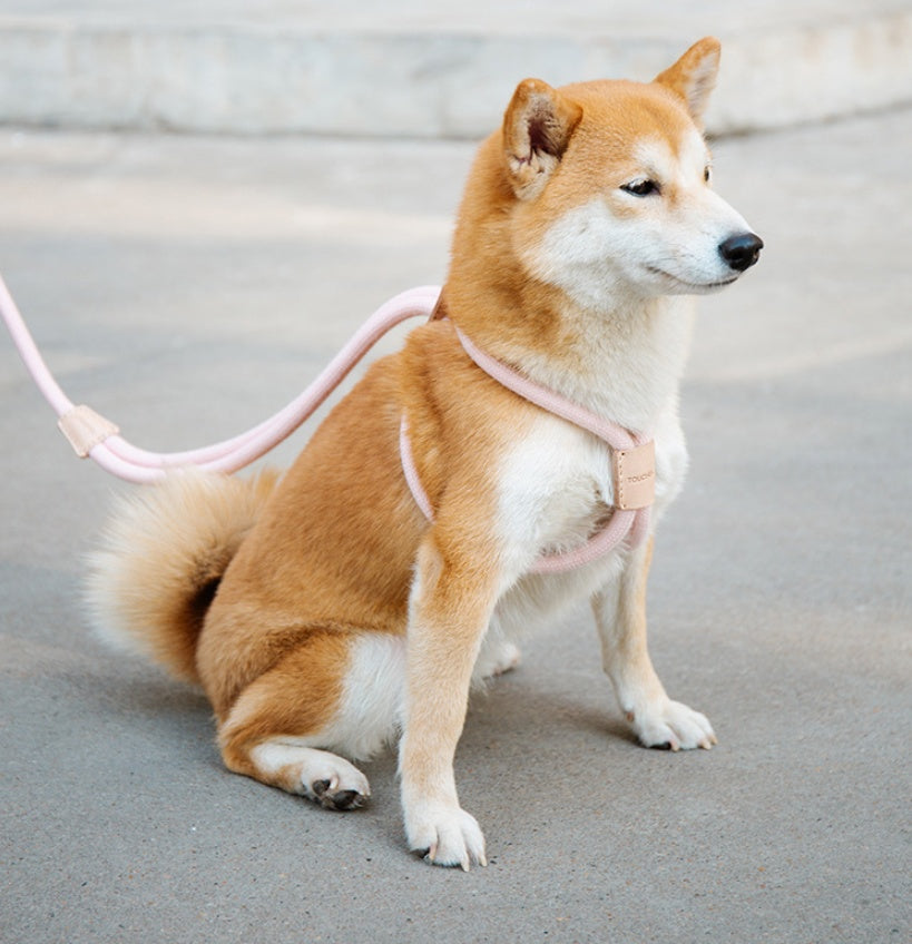 Pet Dual Purpose Round Rope Leash Durable Walking Lead
