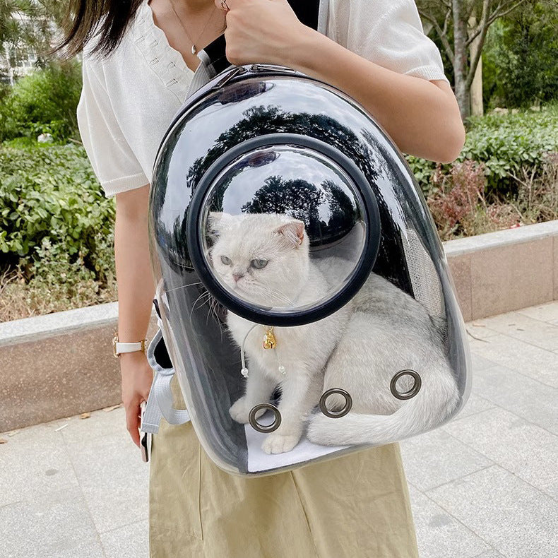 Pet Transparent Breathable Large Capacity Backpack Travel Carrier