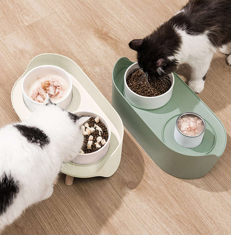 Tilted Double Pet Bowl Adjustable Spill Proof Feeder Stand