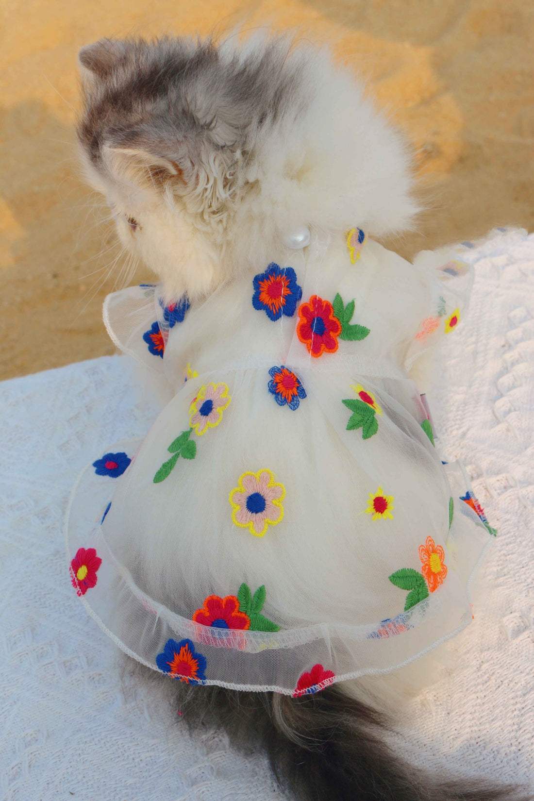 Pet Mesh Embroidery Floral Dress Elegant Summer Wear
