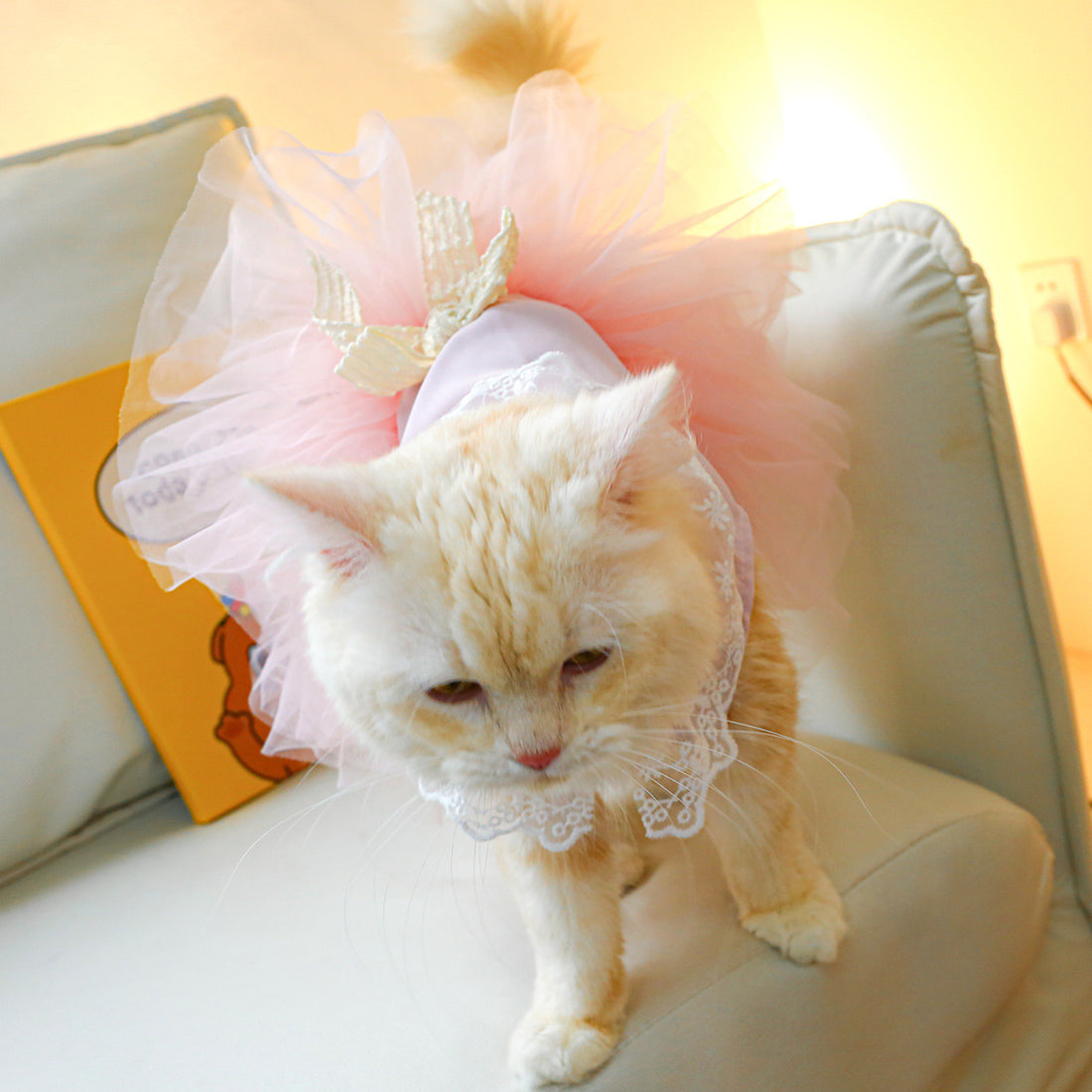 Pet Lace Clothing Outfit Elegant Comfortable Pet Wear