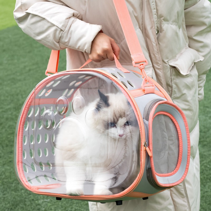 Pet Transparent Space Capsule Backpack Portable Travel Carrier