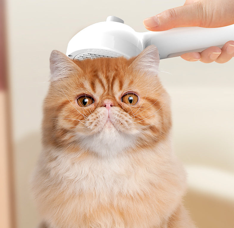 Self Cleaning Pet Grooming Brush With Mist Humidifier Dematting Tool