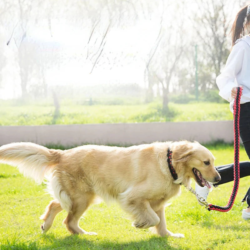 Heavy Duty Nylon Braided Pet Training Walking Leash Set