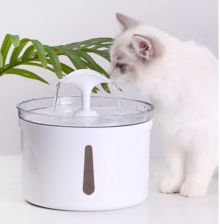 Automatic Intelligent Pet Water Dispenser Circulating Filter Fountain