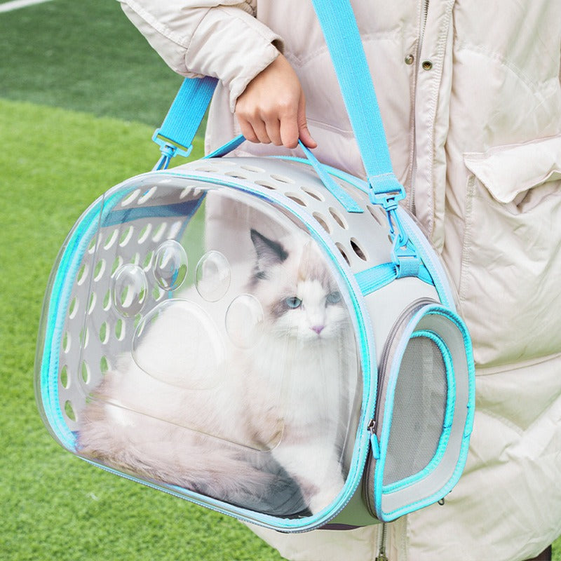 Pet Transparent Space Capsule Backpack Portable Travel Carrier