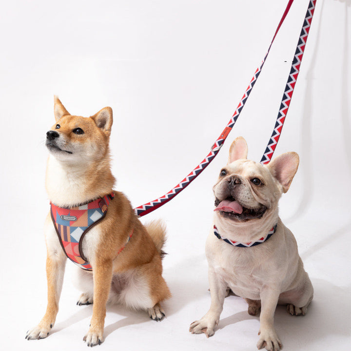 Pet Rainbow Hands Free Adjustable Multifunctional Leash