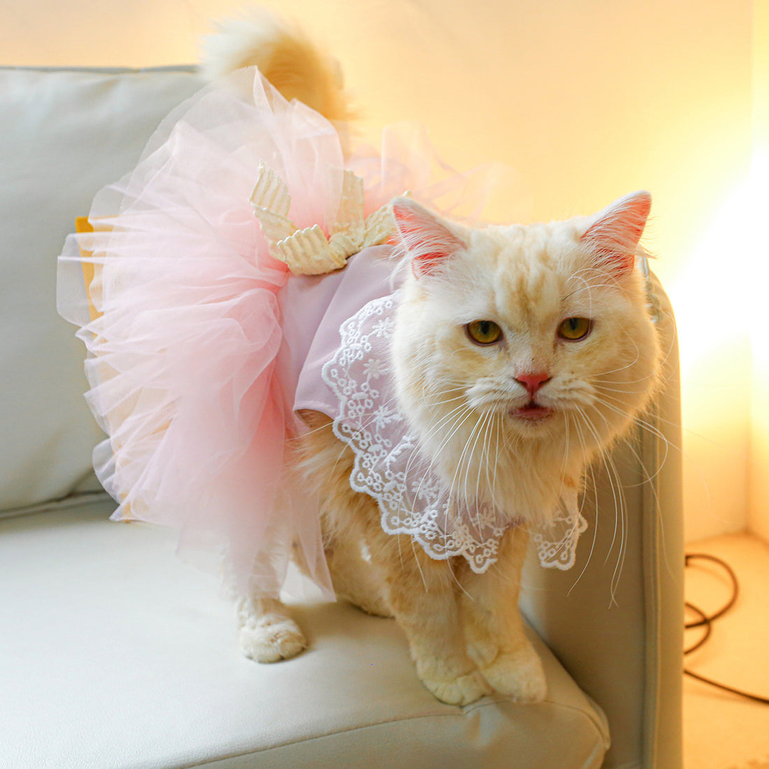 Pet Lace Clothing Outfit Elegant Comfortable Pet Wear