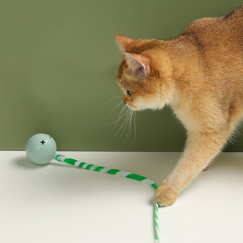 Interactive Electric Motion Activated Pet Ball Toy Touch Sensor