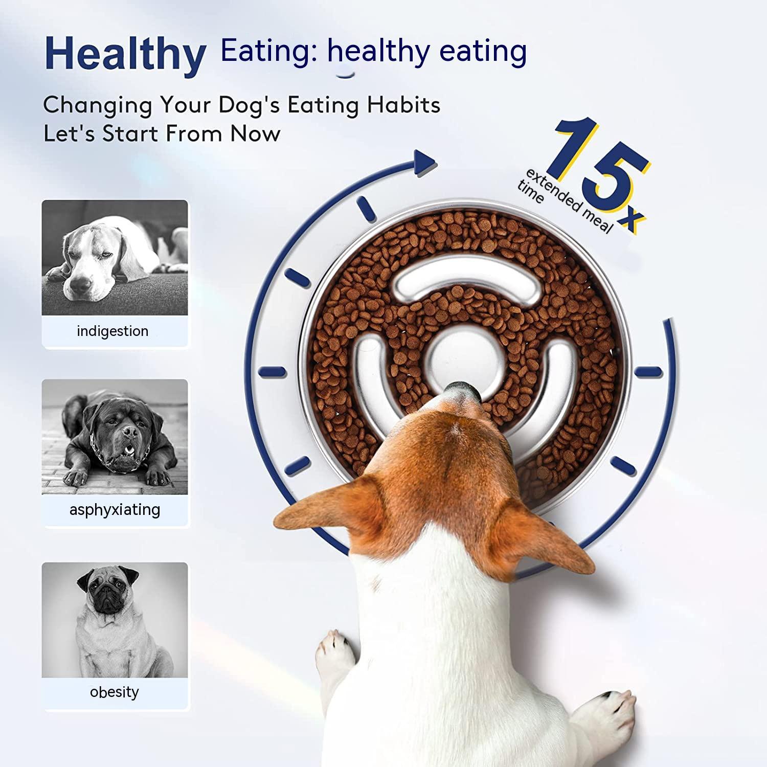 Stainless Steel Slow Feeding Pet Bowl Neck Protection Design