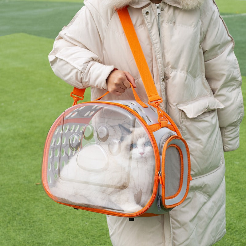 Pet Transparent Space Capsule Backpack Portable Travel Carrier