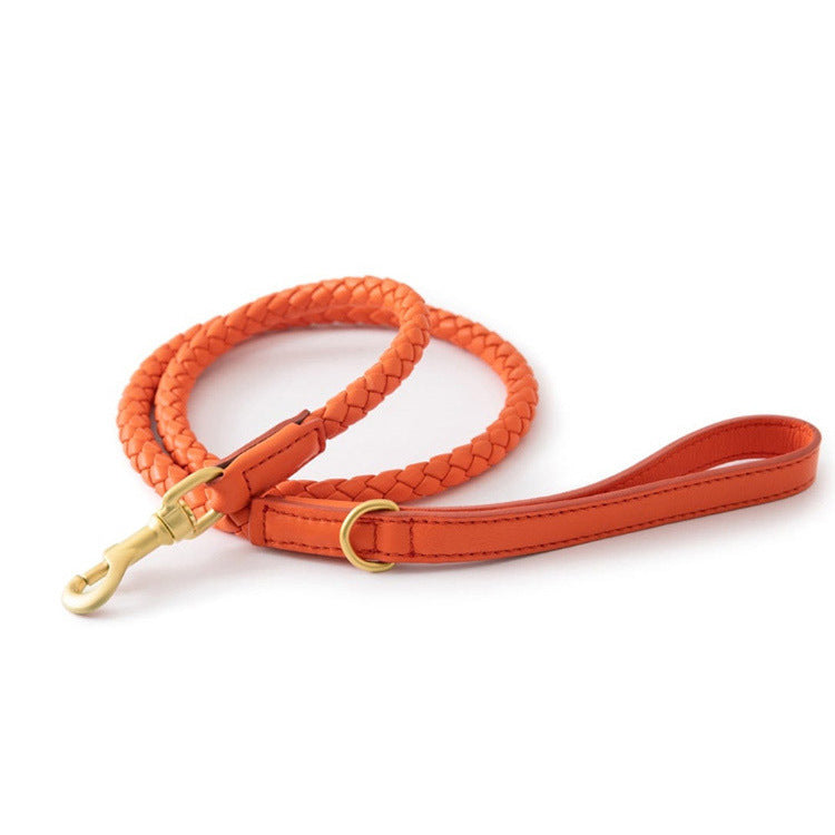 Pet Premium Sturdy Collar Durable Comfortable Wear