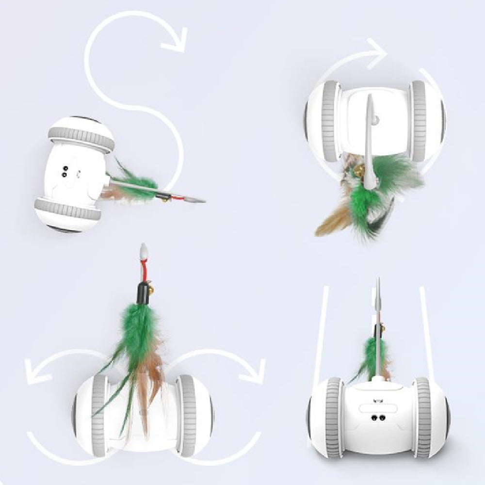 Interactive Pet Toy With Interchangeable Heads Feather Teaser Toy