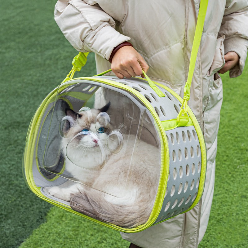 Pet Transparent Space Capsule Backpack Portable Travel Carrier