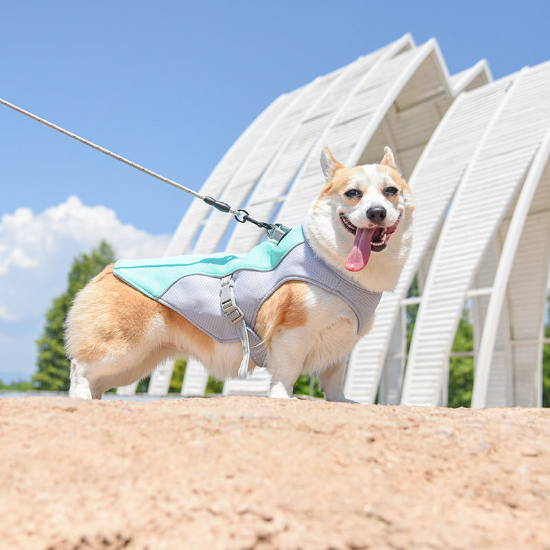 Pet Polyester Cooling Clothing Lightweight Breathable Wear