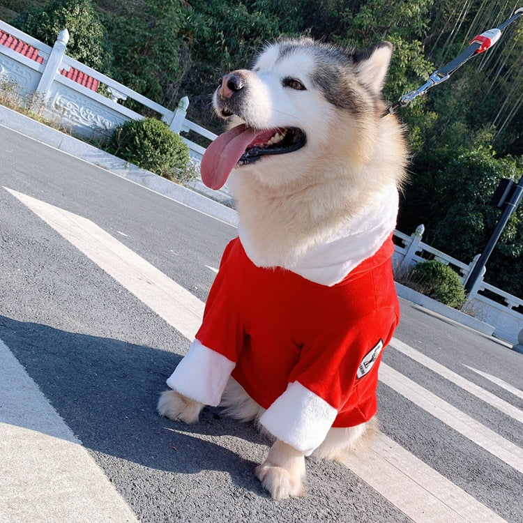 Pet Clothing Teddy Style Comfortable Everyday Wear Outfit