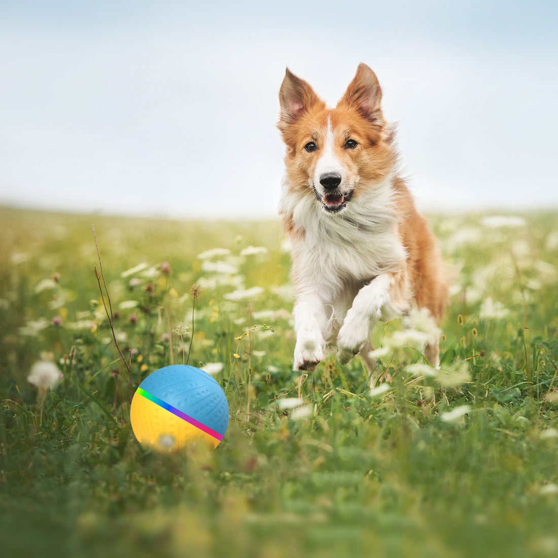 Bite Resistant Remote Control Interactive Smart Toy Ball