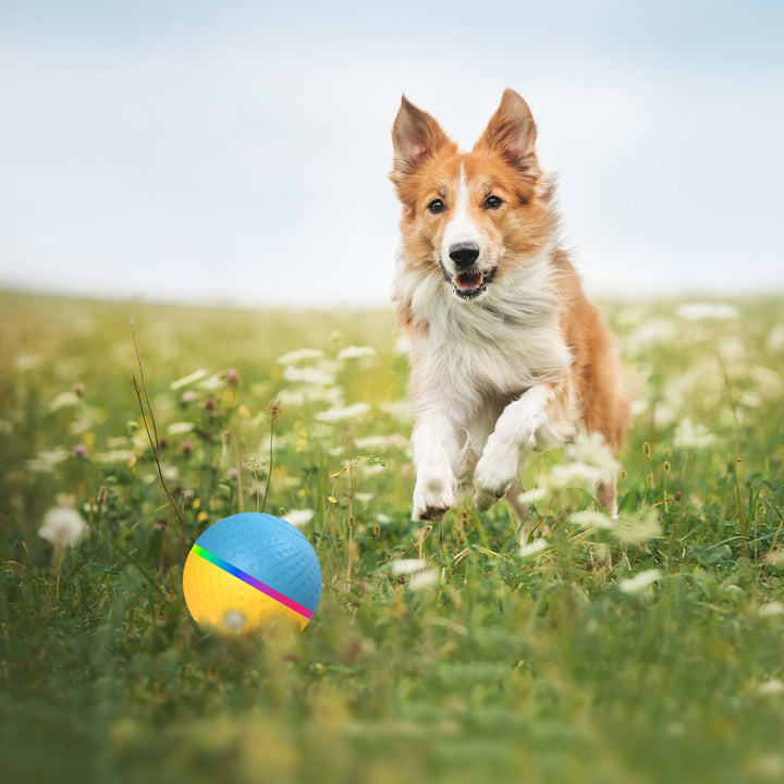 Bite Resistant Remote Control Interactive Smart Toy Ball