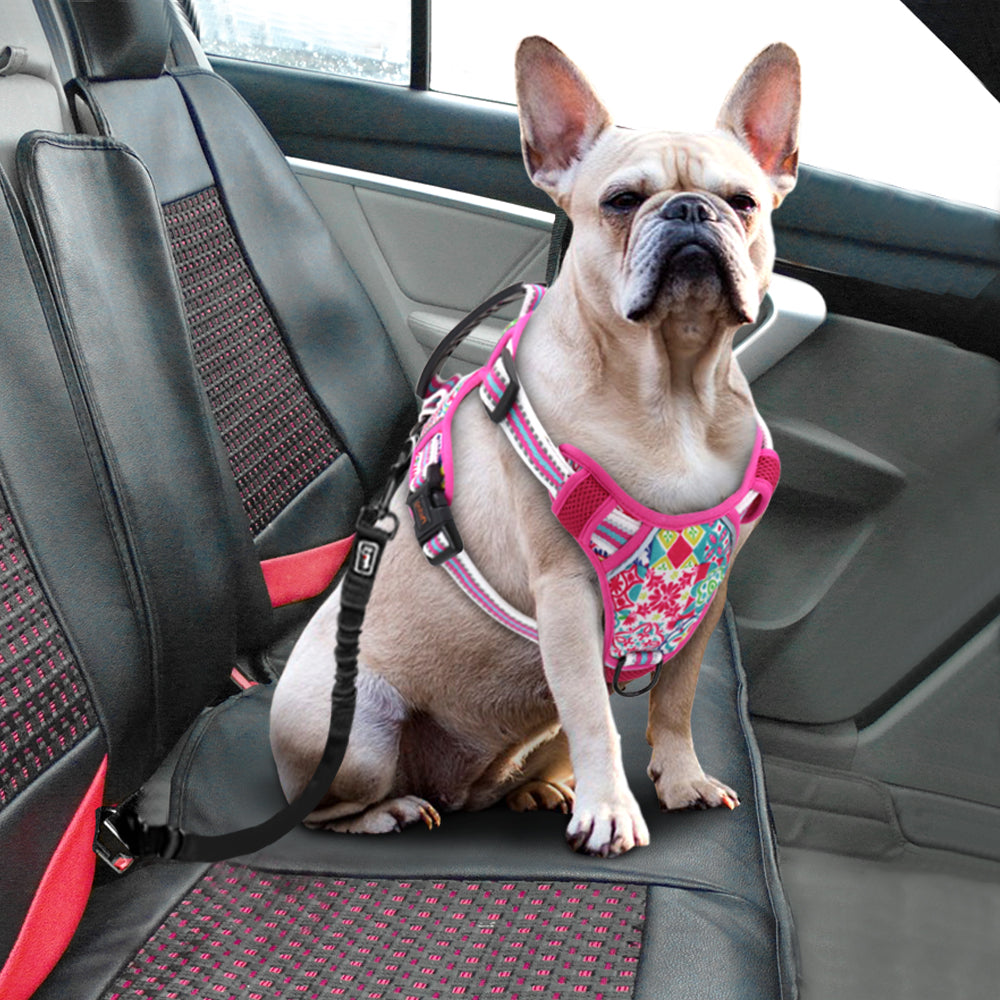 Small Medium And Large Pet Leash Chest Harness