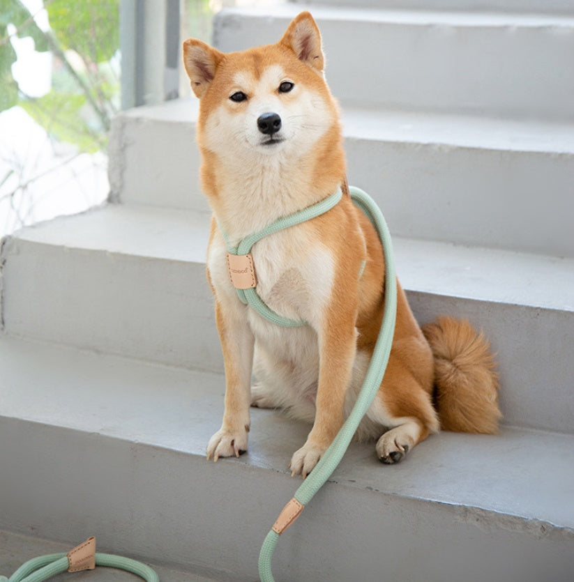 Pet Dual Purpose Round Rope Leash Durable Walking Lead