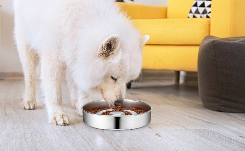 Stainless Steel Slow Feeding Pet Bowl Neck Protection Design