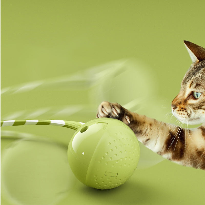 Interactive Electric Motion Activated Pet Ball Toy Touch Sensor