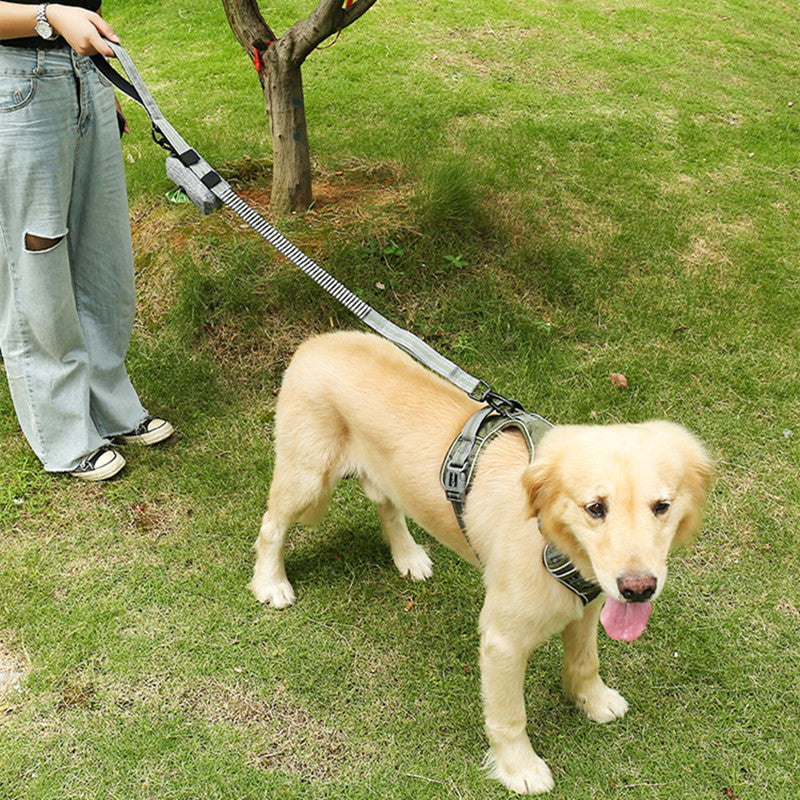 Pet Fluorescent Elastic Retractable Safety Leash Walking Control